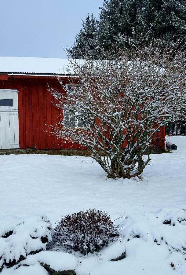 Kjorsvik Ovre Apartment Tornes Екстериор снимка